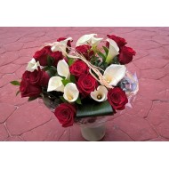 Roses LYCORIAS 14x XXXL 60 cm Nr 730